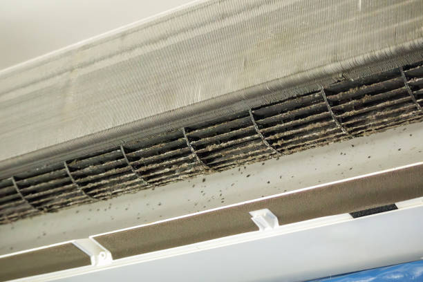 Best Air Duct Cleaning Near Me in Village St George, LA
